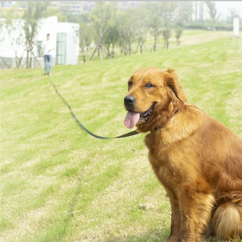 Trail Lead - Long Dog Leash with Comfy Handle