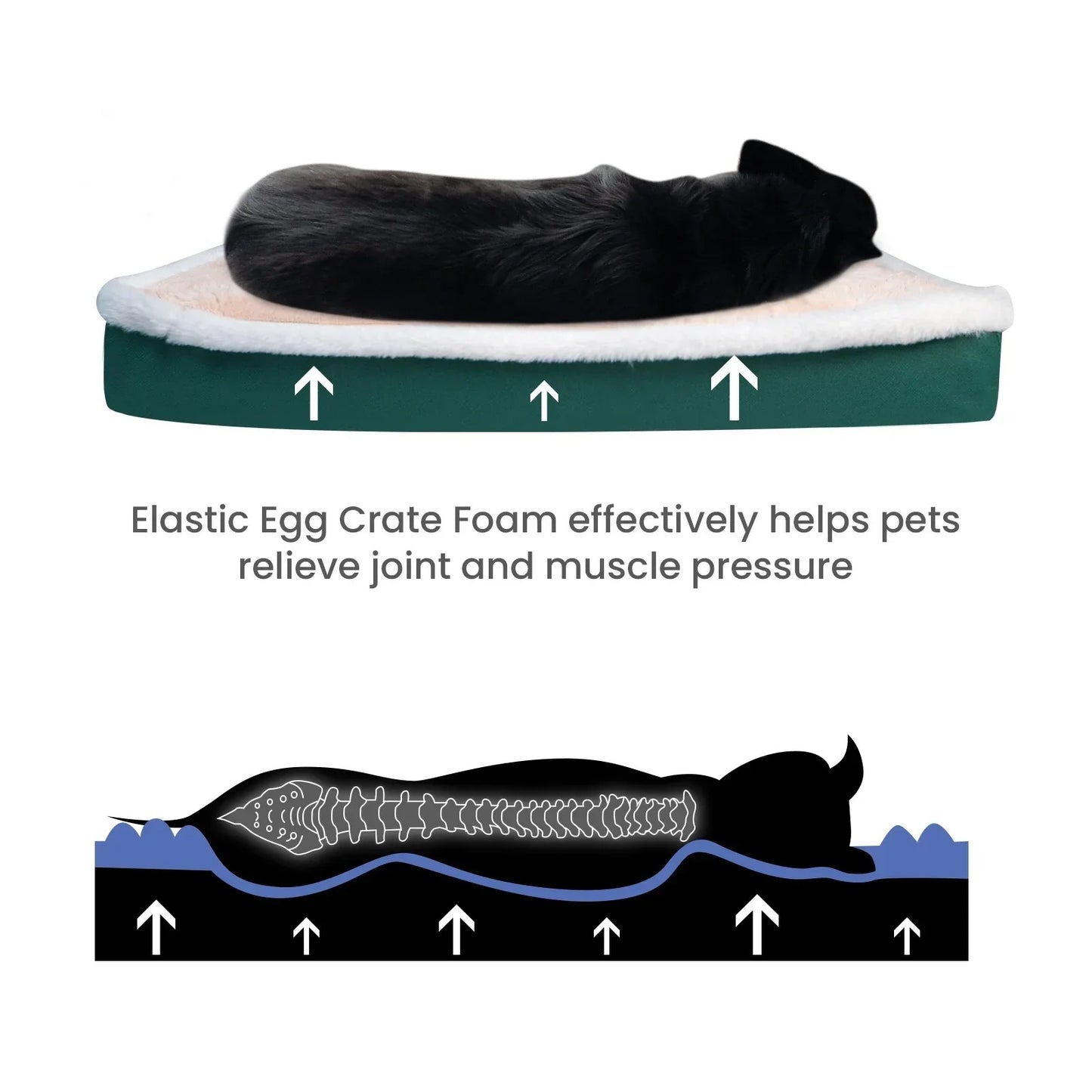 Dream Rest - Orthopedic Memory Foam Dog Bed