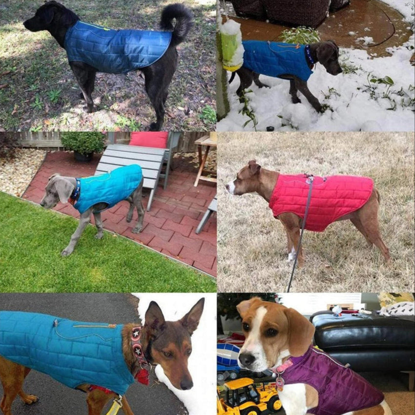 Winter Shield - Reversible Waterproof Winter Dog Jacket