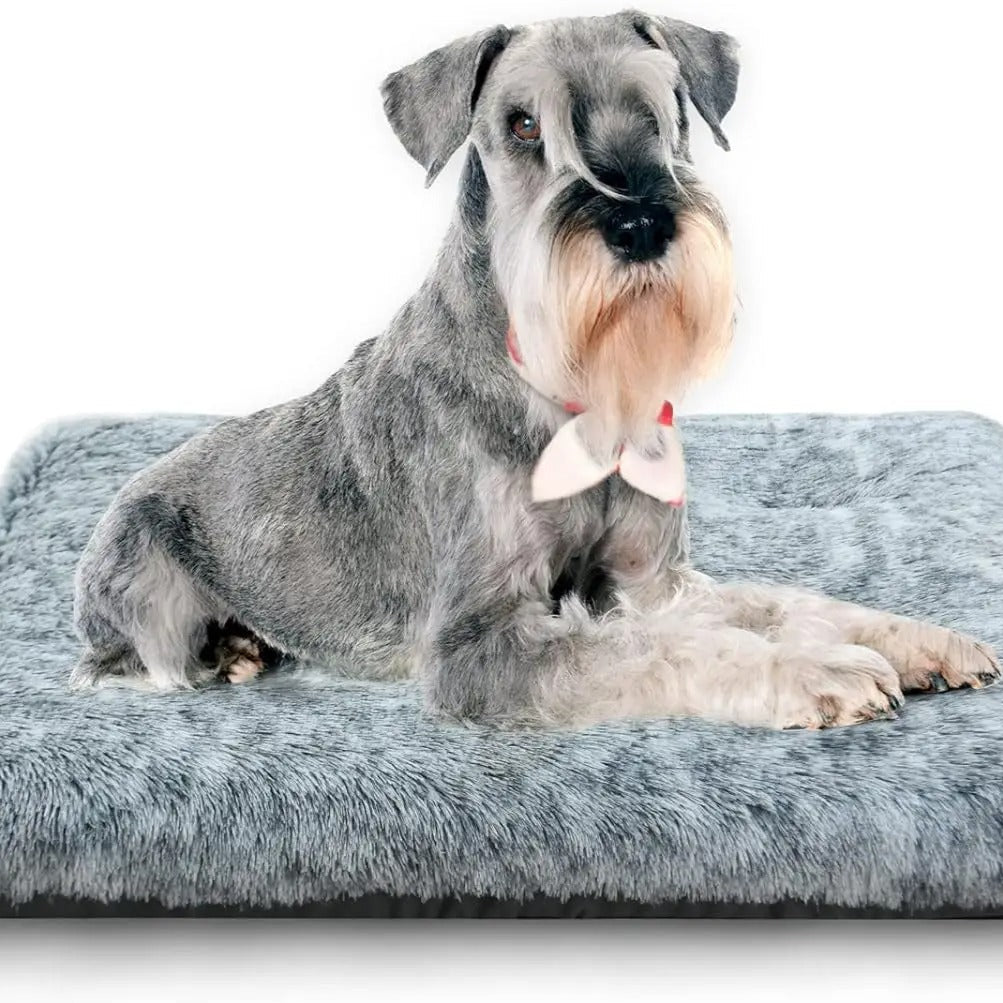 Ortho Tail - Orthopedic Dog Bed