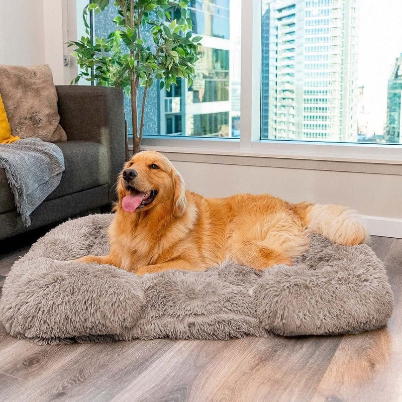 Cloud Ease - Premium Orthopedic Dog Bed