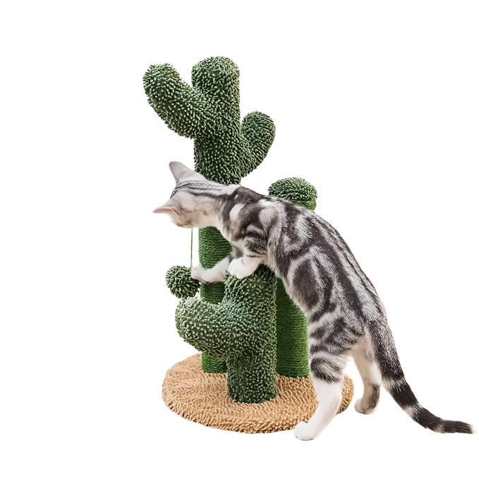 Scratchy Cacti - Cat Scratcher