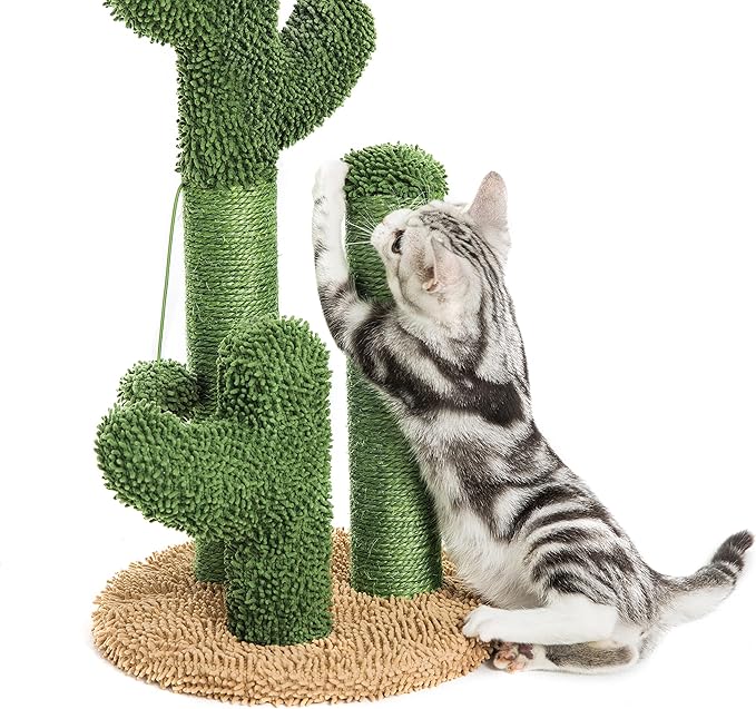 Scratchy Cacti - Cat Scratcher