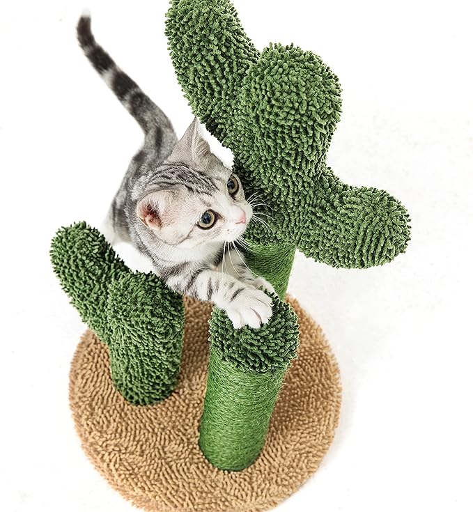 Scratchy Cacti - Cat Scratcher