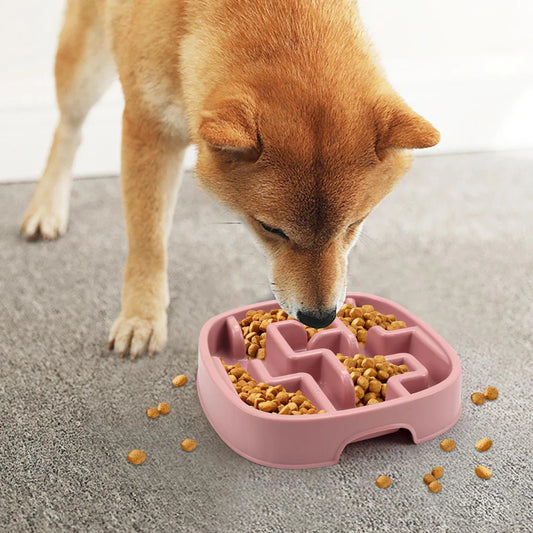 Maze Bowl - Slow Feeding Dog Bowl