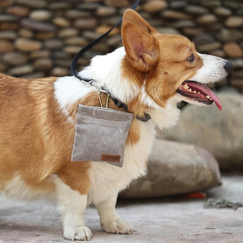 Treat Tote - Portable Dog Treat Pouch