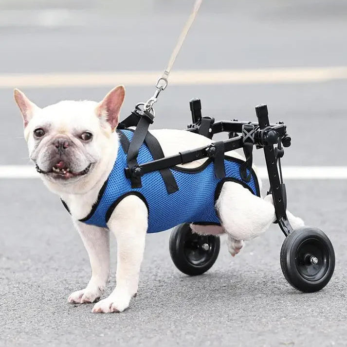 Mobility Mate - Adjustable Dog Wheelchair for Hind Legs