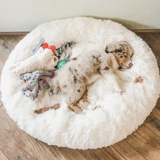 Plush Haven - Therapeutic Donut Cat & Dog Bed