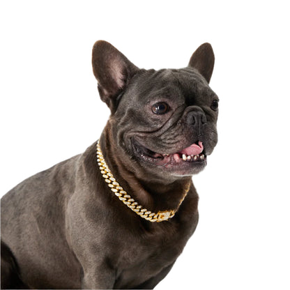 Paw Link - Cuban Link Chain Dog Collar