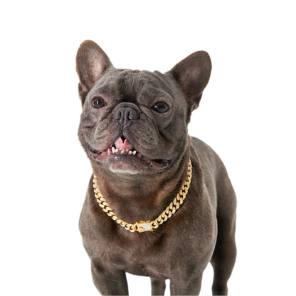 Paw Link - Cuban Link Chain Dog Collar