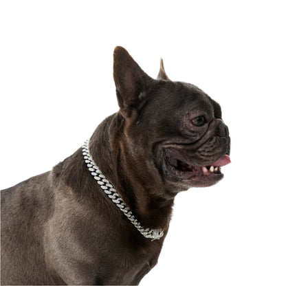 Paw Link - Cuban Link Chain Dog Collar