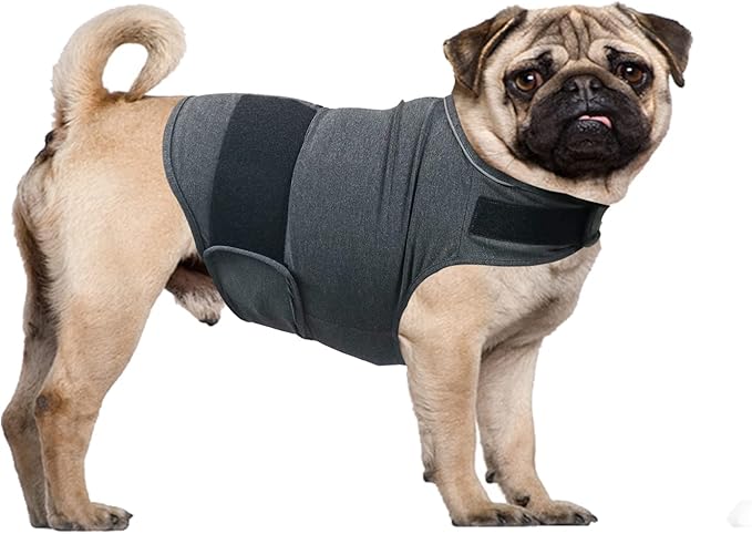 Zen Vest - Dog Anxiety Vest