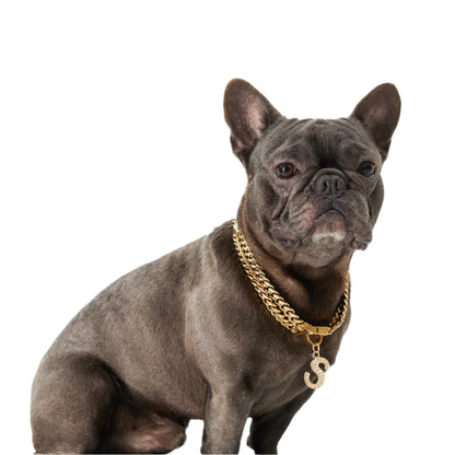 Gilded Paw - Double Cuban Link Dog Collar