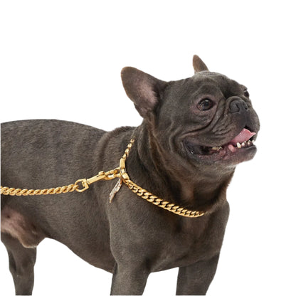 Luxe Leash - Cuban Link Gold Dog Leash