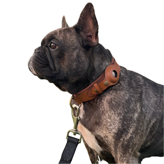 Paw Track - AirTag Dog Collar