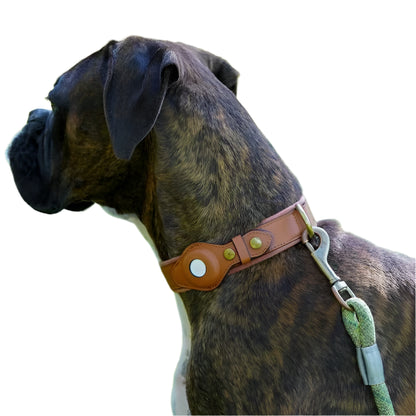 Paw Track - AirTag Dog Collar
