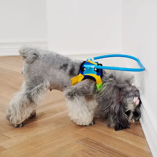 Sight Guard - Blind Dog Harness