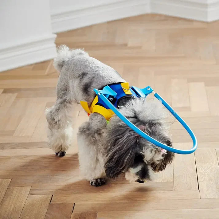 Sight Guard - Blind Dog Harness