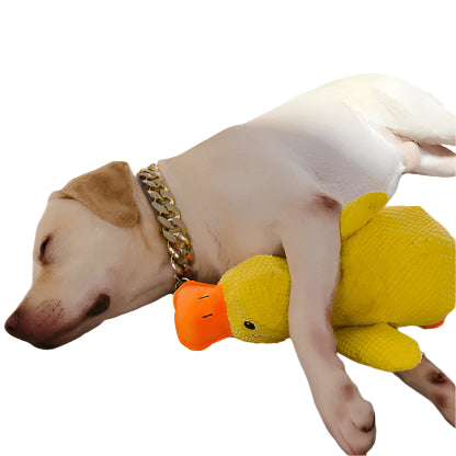 Calm Duck - Calming Dog Toy