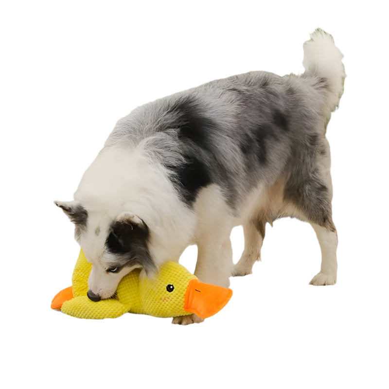 Calm Duck - Calming Dog Toy