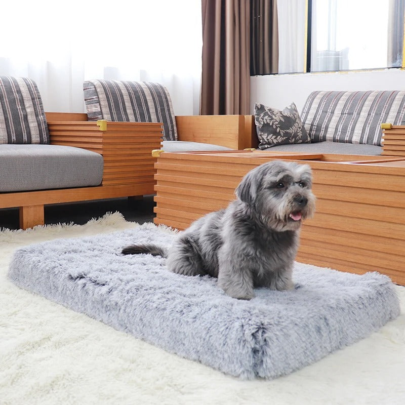 Plush Retreat - Deluxe Orthopedic Dog Bed