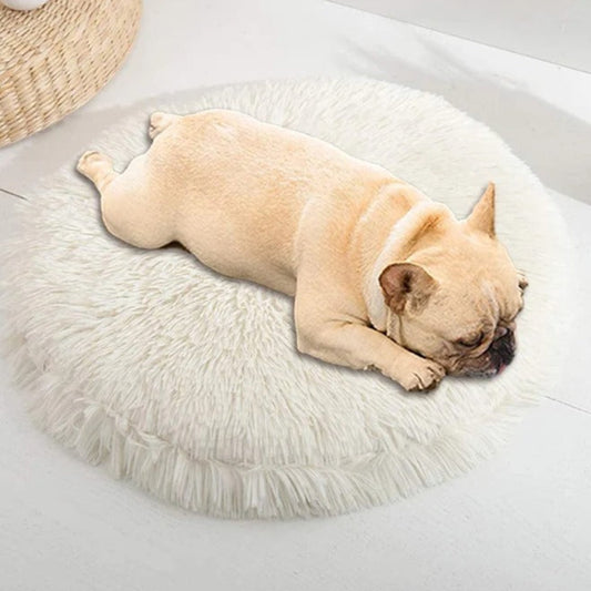 Snug Nest - Washable & Comfortable Pet Bed