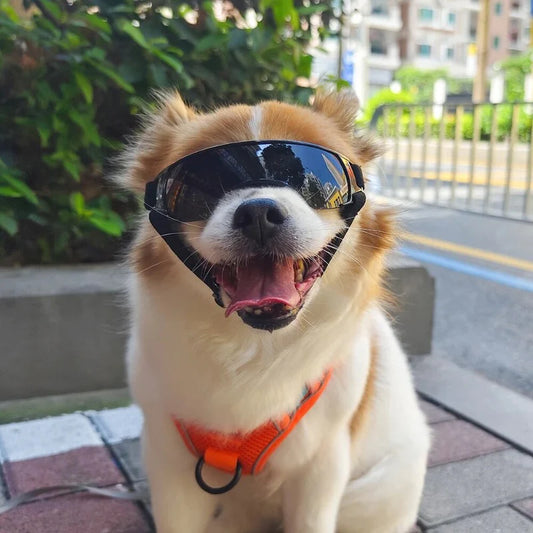 Paw Shades - UV Protection Dog Goggles