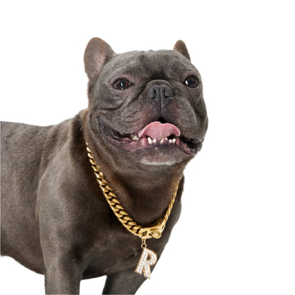 Gold Paw - Cuban Link Chain Dog Collar