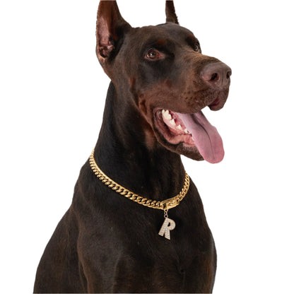 Gold Paw - Cuban Link Chain Dog Collar