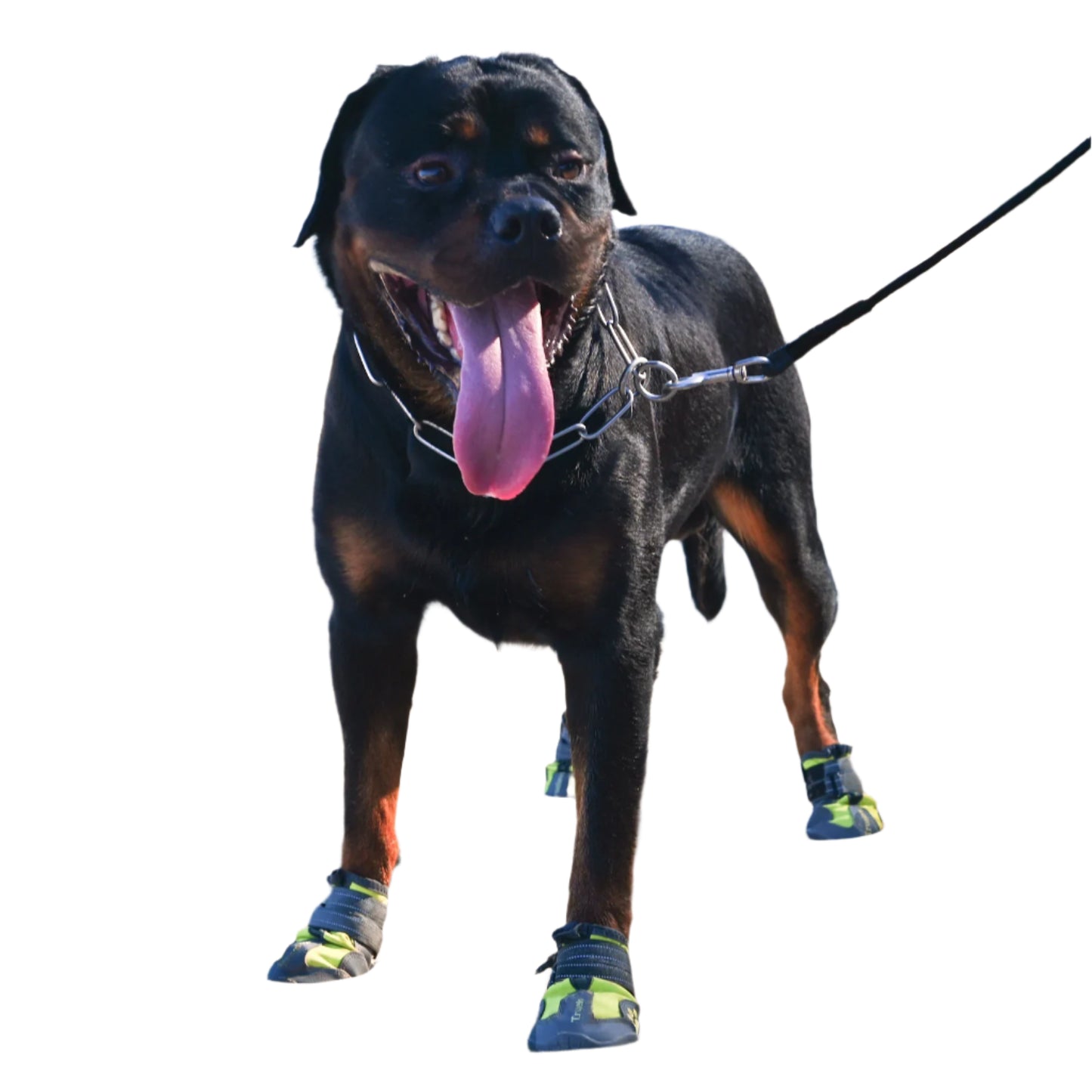 Tread Safe - Anti Slip Dog Shoes