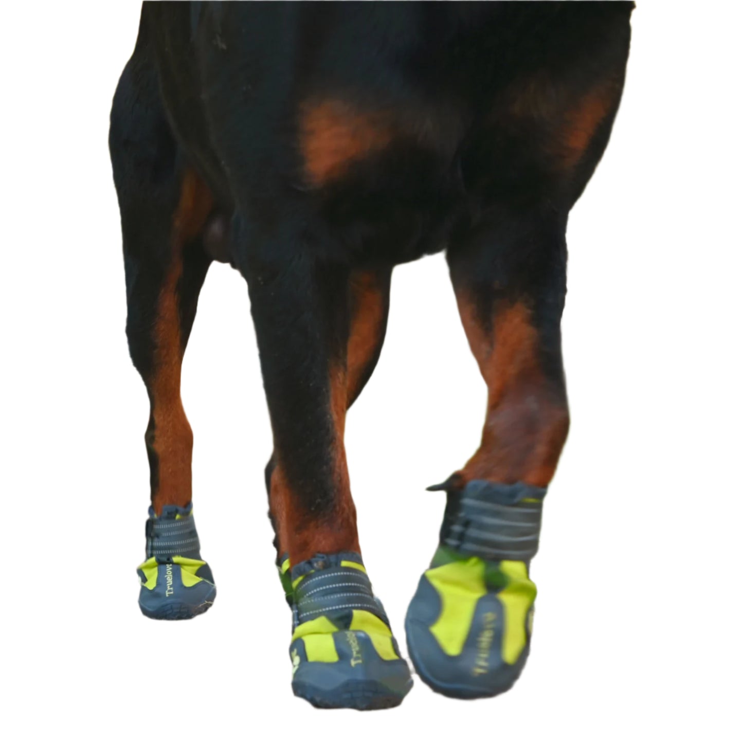 Tread Safe - Anti Slip Dog Shoes