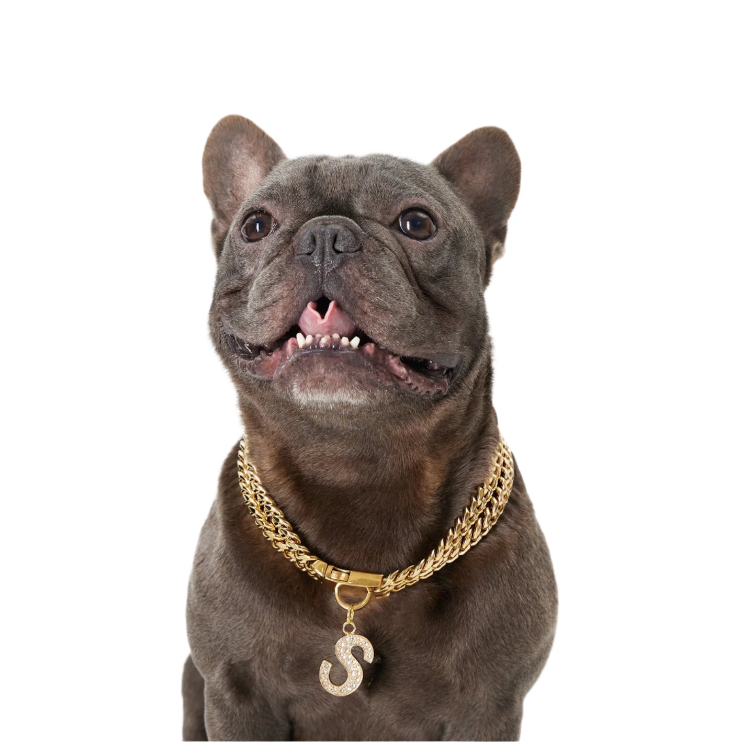 Gilded Paw - Double Cuban Link Dog Collar