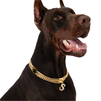 Gilded Paw - Double Cuban Link Dog Collar