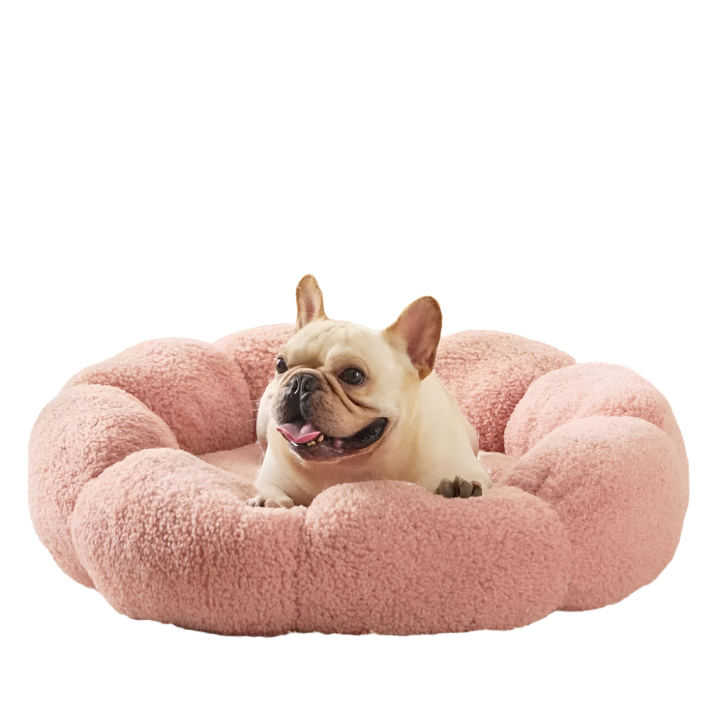 Petal Nest - Calming Bed for Dogs & Cats