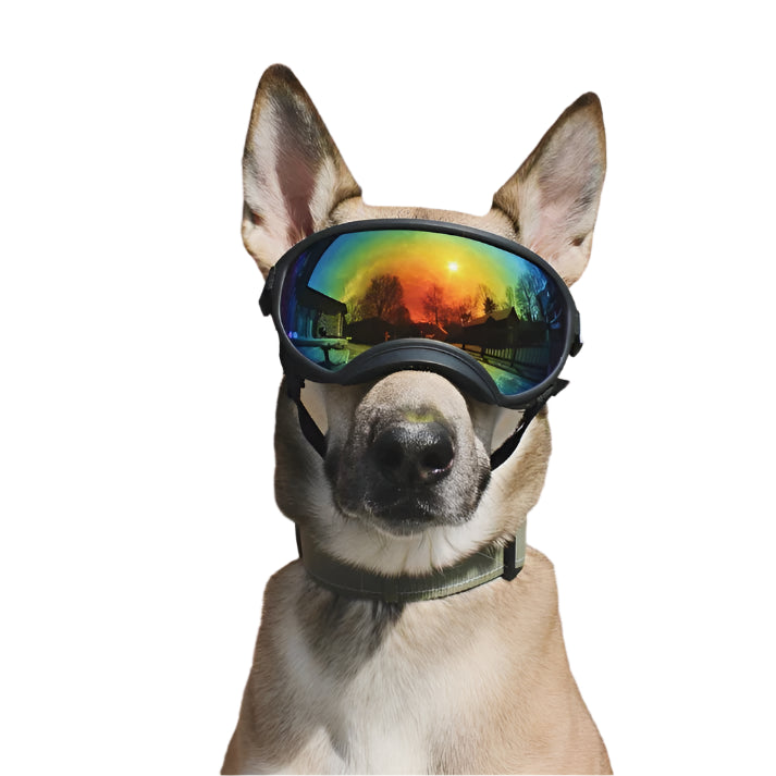 Paw Vision - Dog Goggles