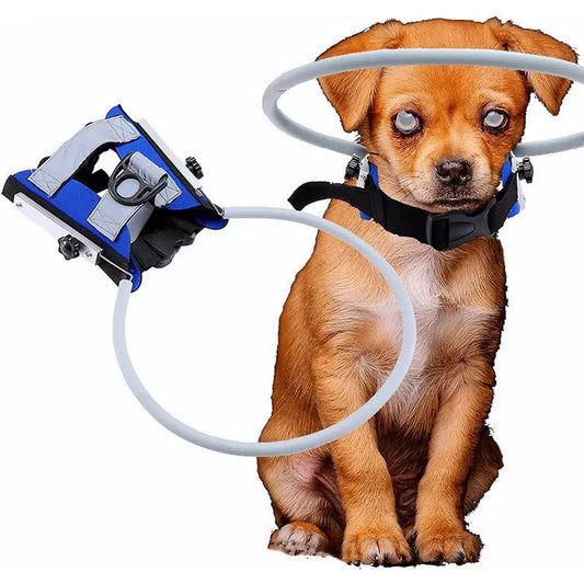 Halo Guard - Blind Dog Harness