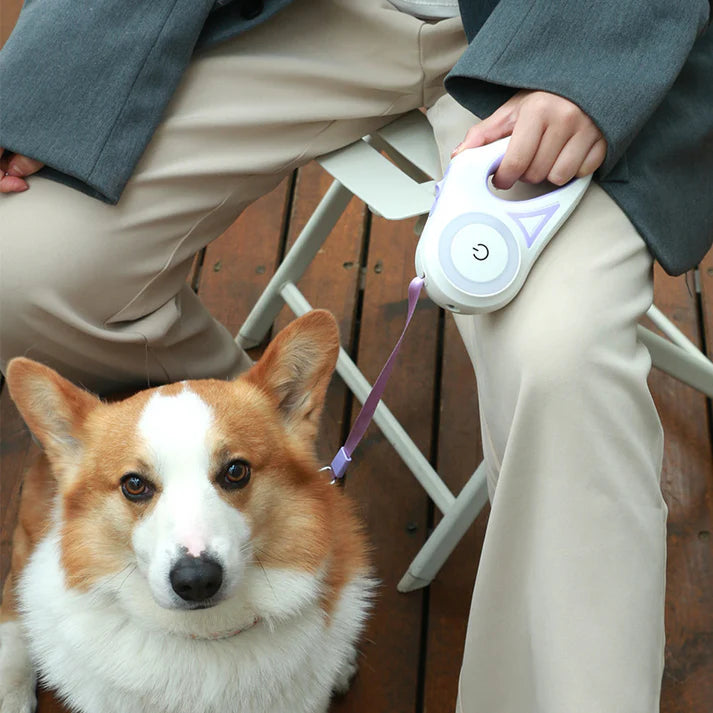 Glow Leash - LED Dog Walking Leash