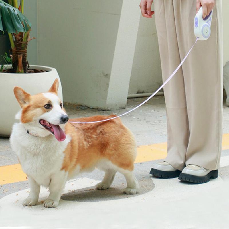 Glow Leash - LED Dog Walking Leash