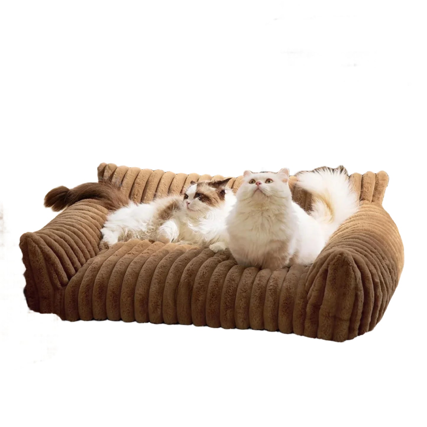 Purr Lounge - Calming Cat Sofa