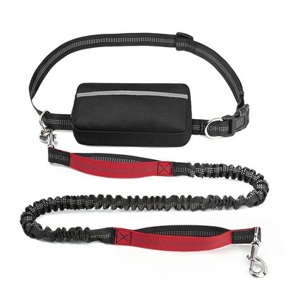 Flex Leash - Retractable Dog Leash with Zipper Pouch