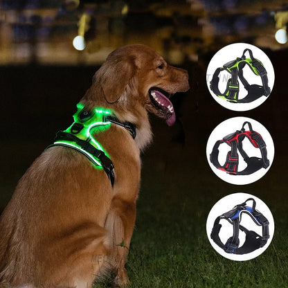 Glow Guard - LED Reflective Dog Collar Harness