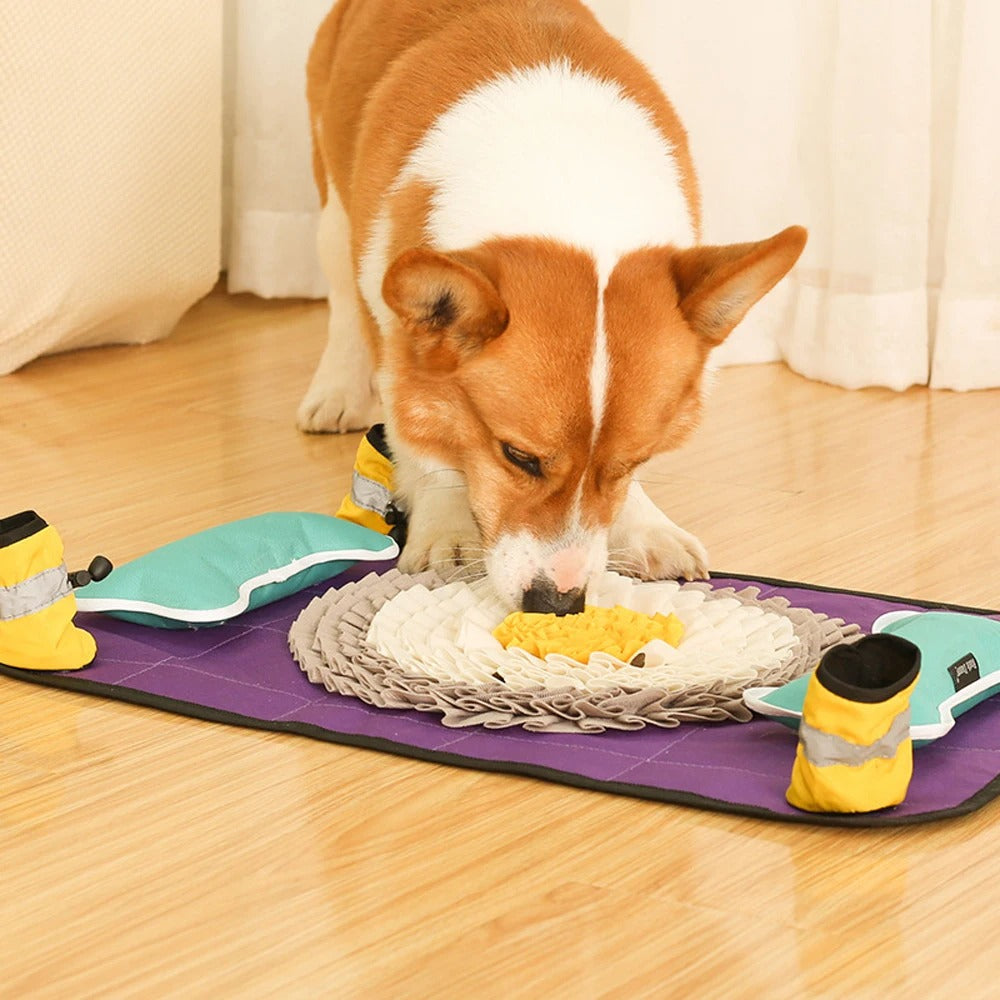 Sniff Sense - Interactive Dog Snuffle Mat