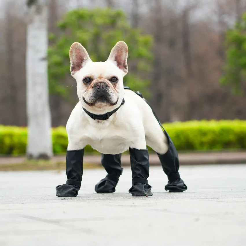 Paw Shield - Adjustable Dog Boots Paw Protectors