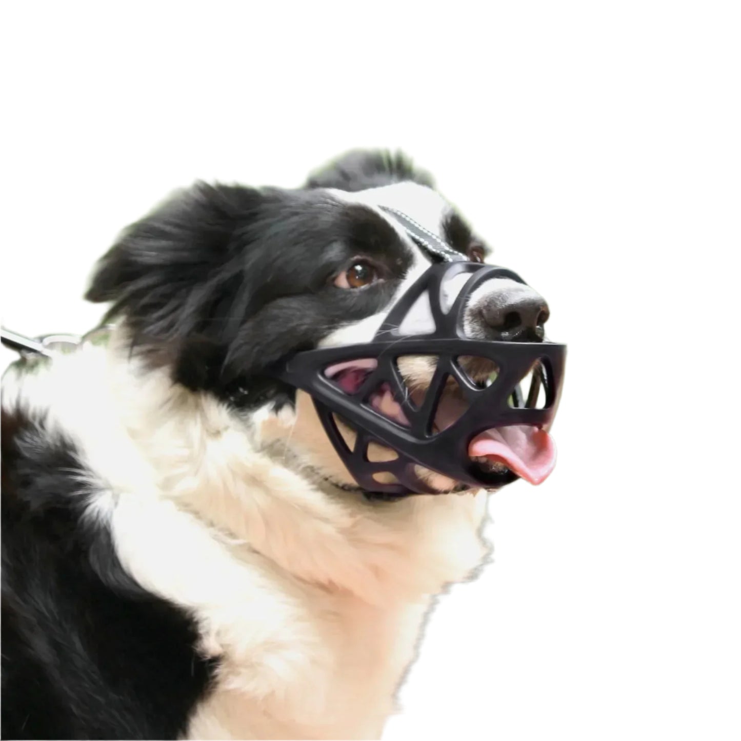 Bark Guard - Dog Muzzle