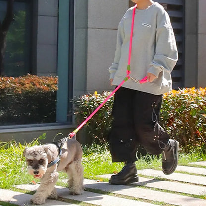 Stride Leash - Hands Free Reflective Dog Leash
