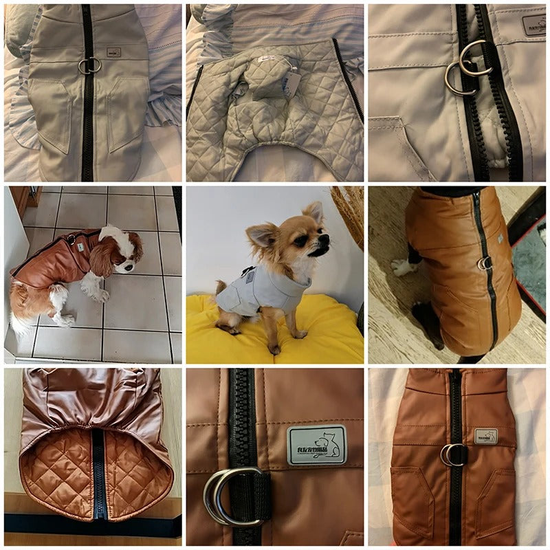 Leather Shield - Waterproof Leather Dog Jacket