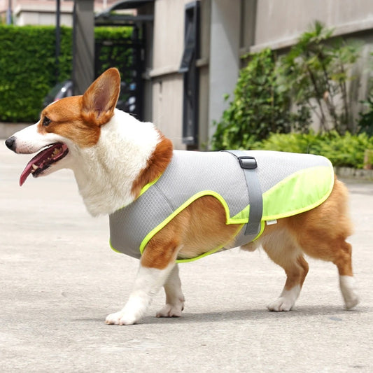 Chill Vest - Lightweight Dog Cooling Jacket