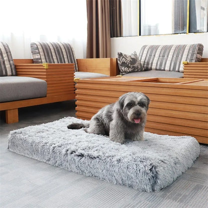 Plush Retreat - Deluxe Orthopedic Dog Bed