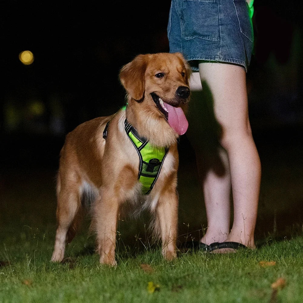 Glow Guard - LED Reflective Dog Collar Harness