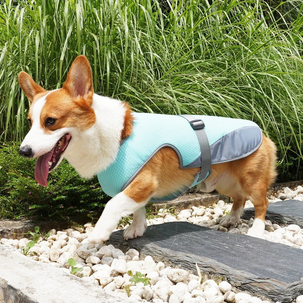 Chill Vest - Lightweight Dog Cooling Jacket